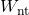 W_{\text{nt}}